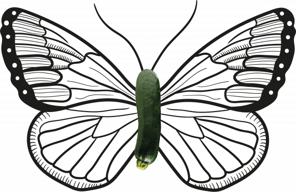 BIO-Center ZANN - 1021