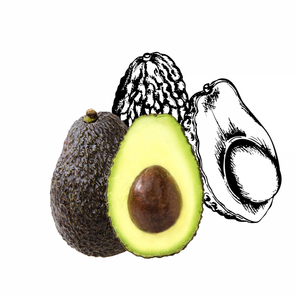 BIO-Center ZANN - 748