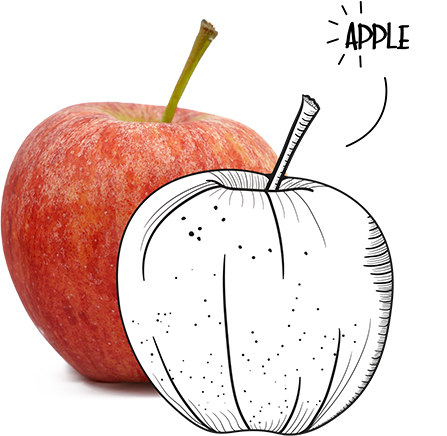 BIO-Center ZANN - 1554