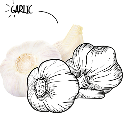 BIO-Center ZANN - 1965