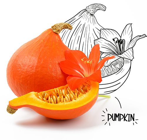 BIO-Center ZANN - 1093