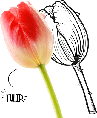 BIO-Center ZANN - 834