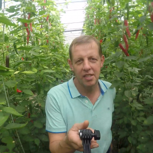 BIOkwekerij Ben Noordermeer